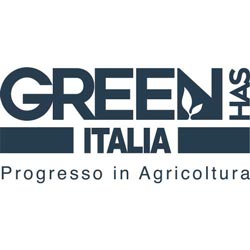 Green Has | Agenzia di marketing strategico