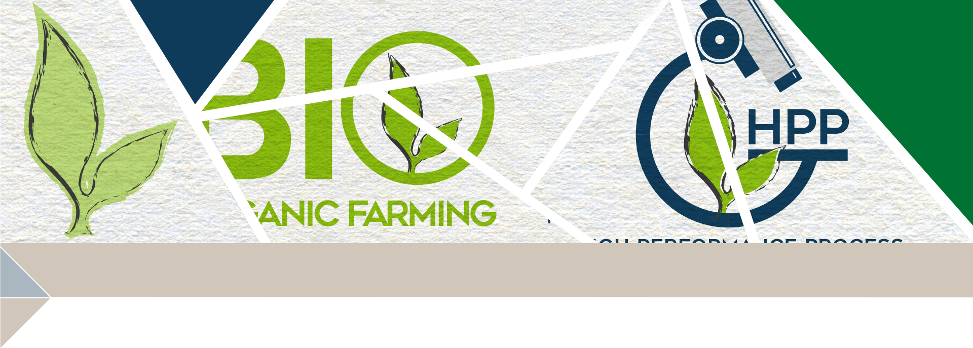 Green Has | Agenzia di Comunicazione EGO NewCom