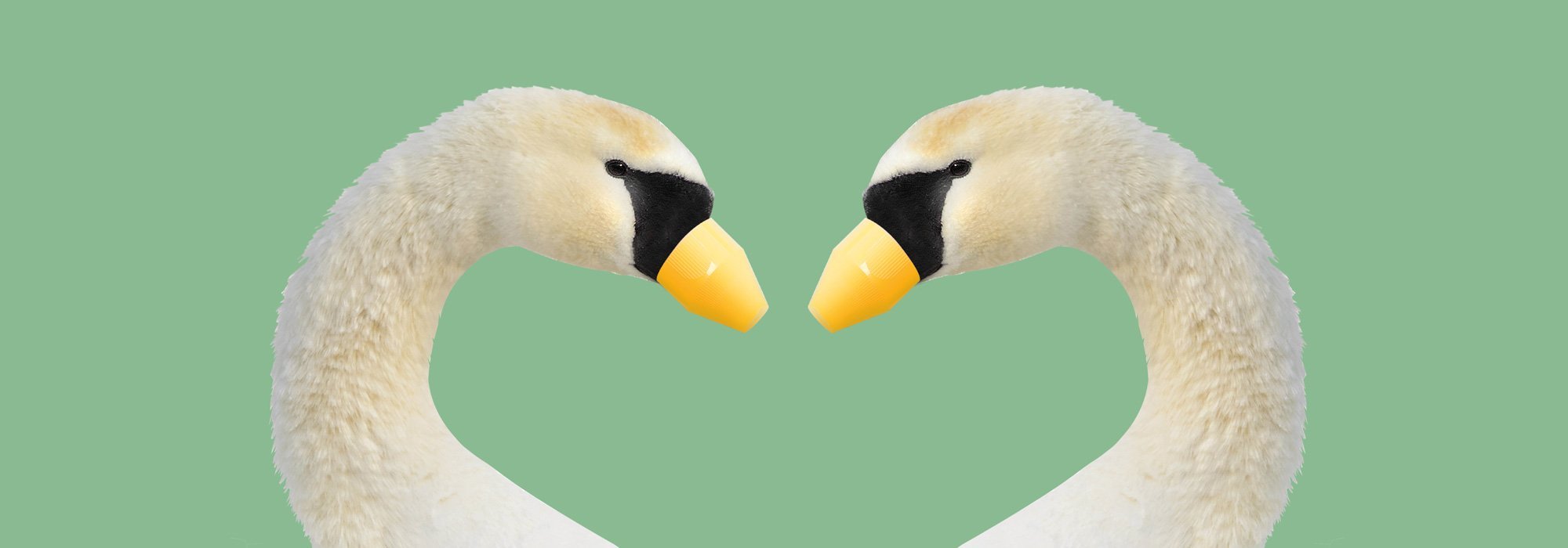 Green claim: fidarsi o non fidarsi?
